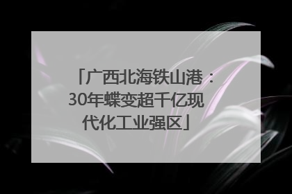 广西北海铁山港：30年蝶变超千亿现代化工业强区