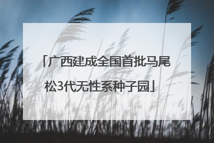 广西建成全国首批马尾松3代无性系种子园