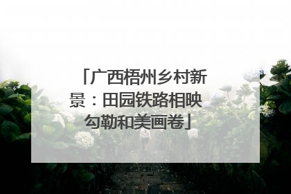 广西梧州乡村新景：田园铁路相映 勾勒和美画卷