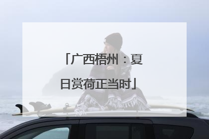 广西梧州：夏日赏荷正当时