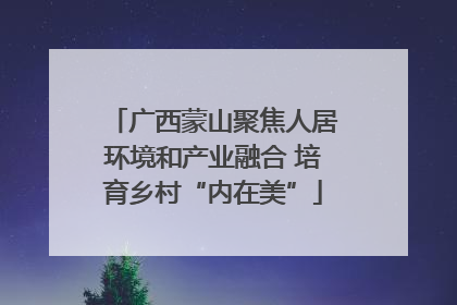 广西蒙山聚焦人居环境和产业融合 培育乡村“内在美”