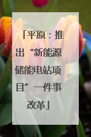 平原：推出“新能源储能电站项目”一件事改革
