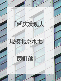 延庆发现大规模北京水毛茛群落
