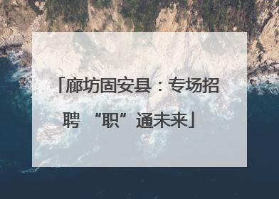 廊坊固安县：专场招聘 “职”通未来