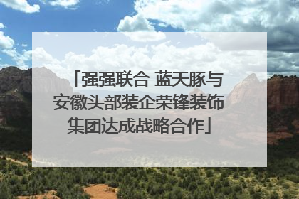 强强联合 蓝天豚与安徽头部装企荣锋装饰集团达成战略合作