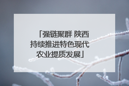 强链聚群 陕西持续推进特色现代农业提质发展