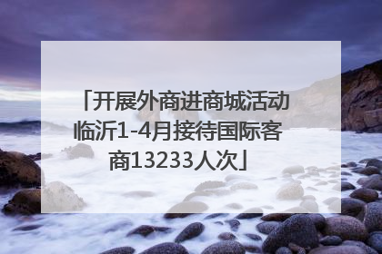 开展外商进商城活动 临沂1-4月接待国际客商13233人次