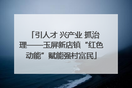 引人才 兴产业 抓治理——玉屏新店镇“红色动能”赋能强村富民