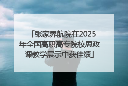 张家界航院在2025年全国高职高专院校思政课教学展示中获佳绩