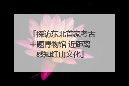 探访东北首家考古主题博物馆 近距离感知红山文化
