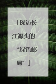 探访长江源头的“绿色邮局”