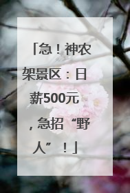 急！神农架景区：日薪500元，急招“野人”！