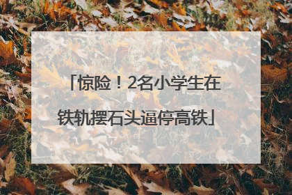 惊险！2名小学生在铁轨摆石头逼停高铁