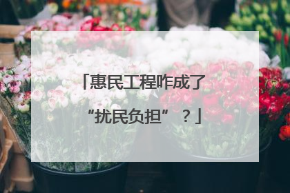 惠民工程咋成了“扰民负担”？