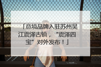 意境品牌入驻苏州吴江震泽古镇，“震泽四宝”对外发布！