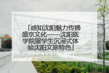 感知沈阳魅力传播盛京文化——沈阳医学院留学生沉浸式体验沈阳文旅特色