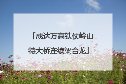 成达万高铁仗岭山特大桥连续梁合龙