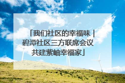 我们社区的幸福味｜碧潭社区三方联席会议共建紫岫幸福家