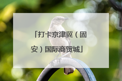 打卡京津冀（固安）国际商贸城
