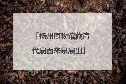 扬州博物馆藏清代扇面来泉展出