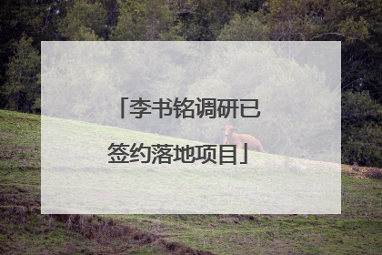 李书铭调研已签约落地项目