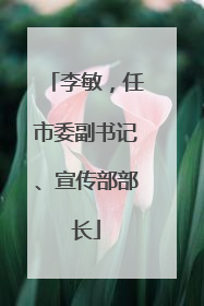 李敏，任市委副书记、宣传部部长