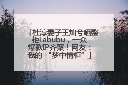 杜淳妻子王灿兮晒整柜Labubu，一众爆款IP齐聚！网友：我的 “梦中情柜”