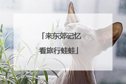 来东郊记忆 看旅行蛙蛙
