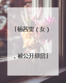 杨茜雯（女），被公开悬赏
