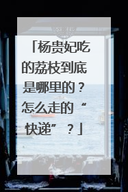 杨贵妃吃的荔枝到底是哪里的？怎么走的“快递”？