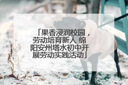 果香浸润校园，劳动培育新人 绵阳安州塔水初中开展劳动实践活动