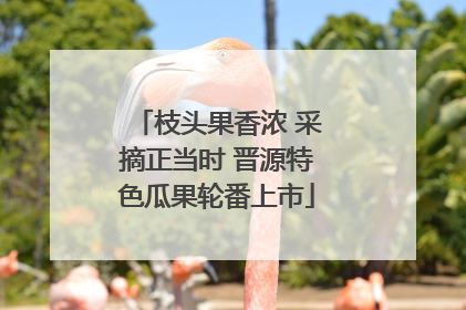 枝头果香浓 采摘正当时 晋源特色瓜果轮番上市