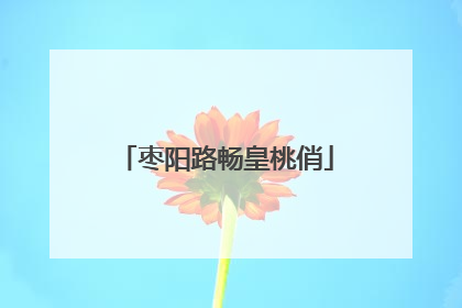 枣阳路畅皇桃俏