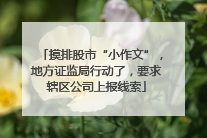 摸排股市“小作文”，地方证监局行动了，要求辖区公司上报线索
