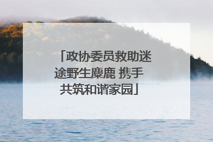 政协委员救助迷途野生麋鹿 携手共筑和谐家园