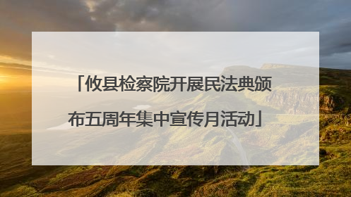 攸县检察院开展民法典颁布五周年集中宣传月活动
