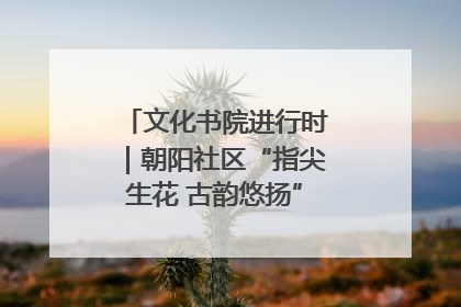 文化书院进行时｜朝阳社区“指尖生花 古韵悠扬”公益课堂开课了