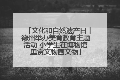 文化和自然遗产日丨德州举办美育教育主题活动 小学生在博物馆里赏文物画文物