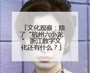 文化观察：除了“杭州六小龙” 浙江数字文化还有什么？