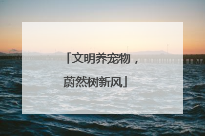 文明养宠物，蔚然树新风