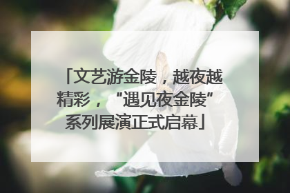 文艺游金陵，越夜越精彩，“遇见夜金陵”系列展演正式启幕