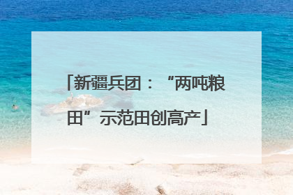 新疆兵团：“两吨粮田”示范田创高产