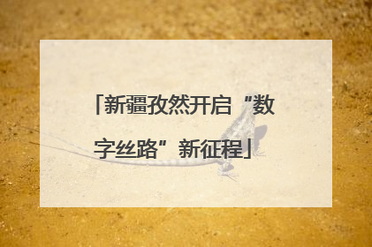 新疆孜然开启“数字丝路”新征程