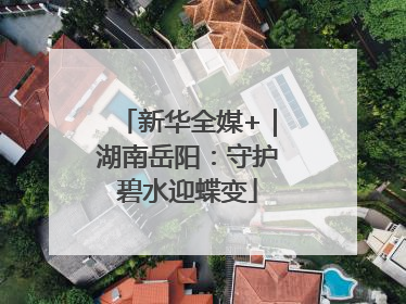 新华全媒+｜湖南岳阳：守护碧水迎蝶变