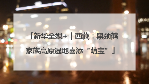 新华全媒+｜西藏：黑颈鹤家族高原湿地喜添“萌宝”