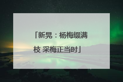 新晃：杨梅缀满枝 采梅正当时