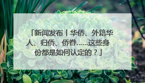 新闻发布丨华侨、外籍华人、归侨、侨眷……这些身份都是如何认定的？