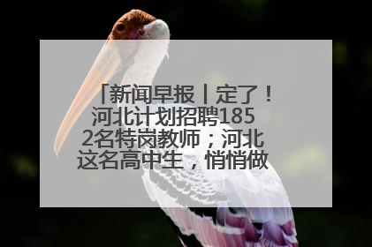 新闻早报丨定了！河北计划招聘1852名特岗教师；河北这名高中生，悄悄做了件超酷的事>>