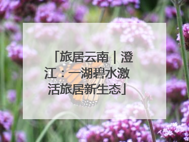 旅居云南｜澄江：一湖碧水激活旅居新生态