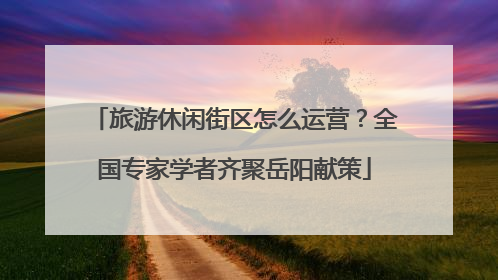 旅游休闲街区怎么运营？全国专家学者齐聚岳阳献策